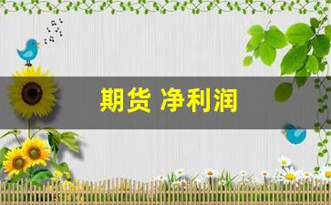 期货 净利润(期货交易利润)_https://www.wanyuyiyao.com_创业板_第1张